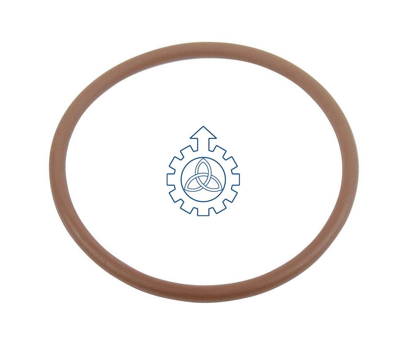 O-ring 500324249