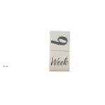 Square Reusable Wooden Milestone Blocks 12 Monthly Milestone Age Blocks