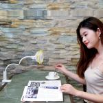 Sunflower clip fan rechargeable 4 inch battery clip on fan
