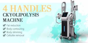 Wholesale Cryolipolysis cool shaping body sculpting machine Cryolipolysis side effects from china suppliers