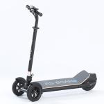 3 Wheels Powerful Electric Scooter 500w Power 120kg Max Loading Mobile Electric