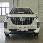 Raysince factory hot sales model 5 door electric car adult vehicle 4 Seats