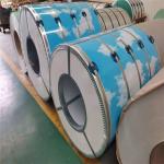 PPGI Double Color Pre Painted Galvanized Iron Coil Z40 Z80 Width 700-1200MM