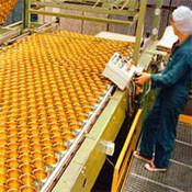 Wholesale belting conveyors modular belts conveyor flat top belts conveyor systems from china suppliers