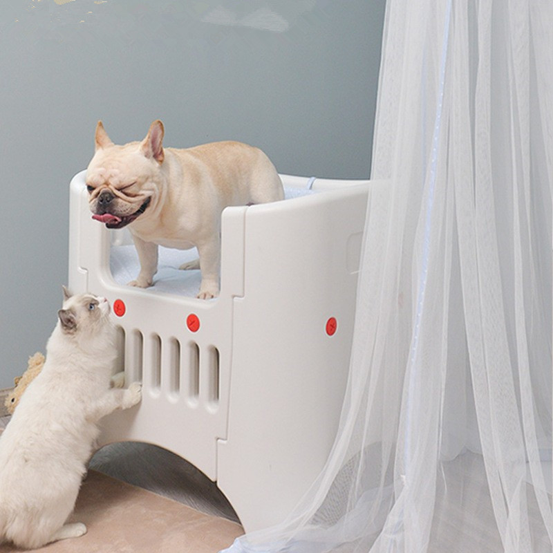 hard plastic dog bed