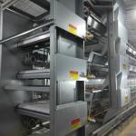 H Type Poultry Battery Cages Automatic Egg Layer Chicken Farm Laying Hens