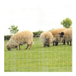 Wholesale Square Hot Dipped Galvanized 1.2m Cattle Veld Span Fence of Iron Wire Coating from china suppliers