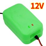 Popular model 12V 6A 12V 5A 8A 10A 12A 20A Motorcycle Car Pulse Repair Lead acid