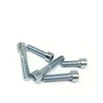 100% Inspection Zinc Grade 8.8 10.9 12.9 Allen Bolts DIN912 with Hexagon Socket