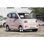 Wuling Micro Electric Vehicle 3059x1521x1614mm Fuel Energy 2024 Vehicle 2 Doors