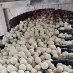 65% Al2O3 Content Grinding Ball 5-8mm Alumina Ceramic Beads for Precision