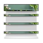 29" Stretched LCD Display Shelf Edge Lcd Screen Supermarket Strip Thin Strip LED