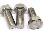 Stainless Steel 304 Hex Socket Head Cap Bolts Screws and Nuts Kit