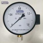1.6MPa black steel case 1/2"bsp M20X1.5 6 inch electric contact dual scale