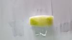 Frozen Winter Melon(White Gourd), leaf-shaped, flower-shaped etc. for food