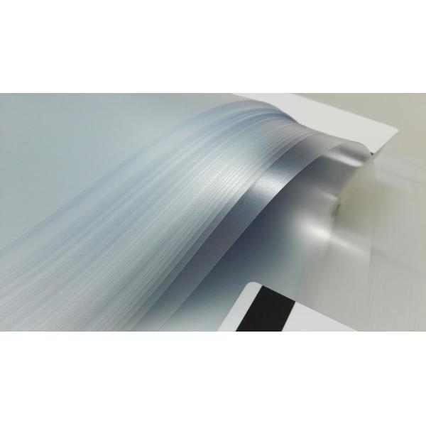 0.1mm A4 Size Transparent PVC Coated Overlay