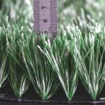 Double Color Synthetic Artificial Grass Premier League In Soccer Stadium
