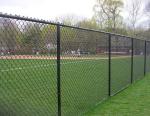 3mm 12 Gauge Chain Link Fence Pvc Coated Green 6x50