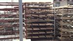 Waste Paper Reciprocating Semi-automatic Industrial Packaging Products Forming