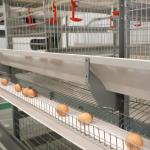 Q235 Steel Automatic Poultry Farm Equipment Chicken Layer Cages For Laying Hens