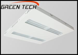 Wholesale High Efficiency High Bay LED Lights , Surface Mounted High Bay Lights from china suppliers