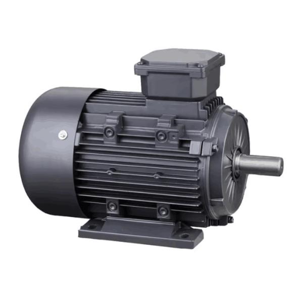 YE3 Premium Efficiency 1.5KW 2HP 3HP 4HP 5HP 7.5HP 10HP 50/60Hz 220/380/460V YE3