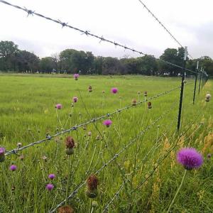 Wholesale Reliable Quality Barbed Wire Chain Link Fence Galvanized Surface Treatment from china suppliers