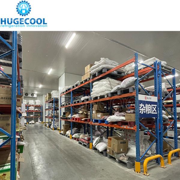CE Certified Large Temperature Controlled Cold Storage Room Freezer for