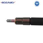 Diesel Common Rail Fuel Injector 0 445 110 646 for AUDI,SEAT,SKODA,VW