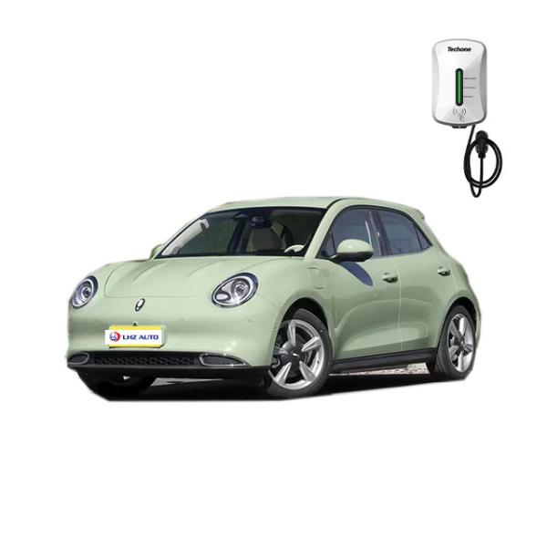 Torsion Beam Non-Independent Suspension Ora Haomao Five Door Five Seat Energy