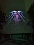 ABS Outdoor Solar Wall Light 280MA LED Solar Scomce Monocrystalline Silicon
