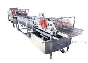 Wholesale Commercial Vegetable Fruit Washing Machine 1.5T/h Vortex Type from china suppliers