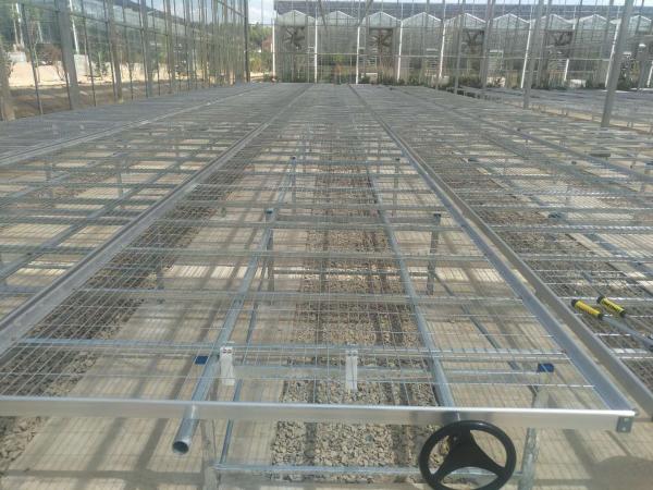 Hot Galvanized Steel Frame Commercial Greenhouse Tables with Adjustable Shelving