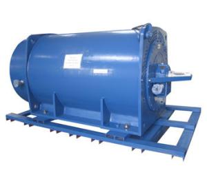 Wholesale High Voltage Explosion-proof Three-phase Induction Motor from china suppliers