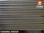 ASTM A269 TP316L, SUS316L, 1.4404 BA Stainless Steel Seamless Tube, Heat