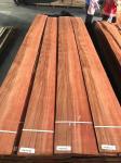 Red Apple 12CM Cabinet Wood Veneer 12% Moisture Apply To Furniture
