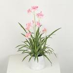 Artificial Chlorophytum Comosum Fake Bonsai Tree With Flower 28 CM 38 CM 48 CM
