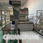 Stainless Steel Canned Diced Tomato Paste Production Line For 400g 800g 3000g