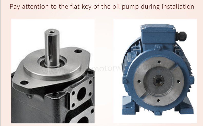 hydraulic motor