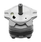 Construction Machinery Parts VIO50 VIO55 Gear Pump Pilot Pump 172461-73131
