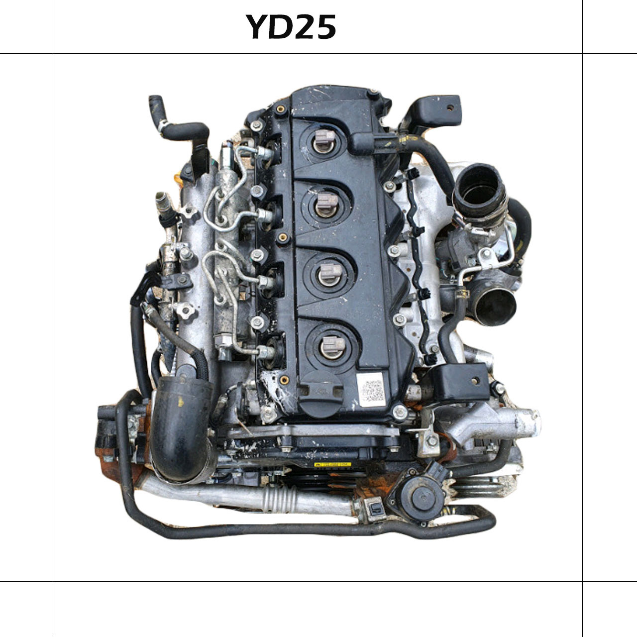 Used Genuine YD25 DDTI Car Engine Used For Navara Good Condition