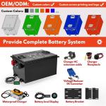 OEM ODM LiFePO4 For Customized Golf Cart Lithium Battery Pack Lithium Ion