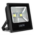 IP66 COB LED Garden Light Fixtures 100W Luminous Efficiency Light Control