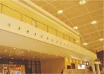 Interior Decor Aluminum Acoustical Ceiling Tiles With Electrostatic Powder