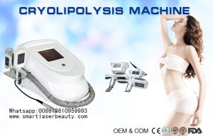 Wholesale Portable Coolsculpting Cryolipolysis Slimming Machine , Cryotherapy Fat Freezing Device from china suppliers