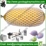 EPE foam Fruit Net Extrusion machine(lowest price)