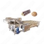 onions cauliflower green peppers Washer type Industrial Electrical Vegetable