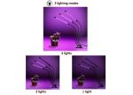 Full Spectrum 30 Watt LED Grow Light With Clip Timing Stands 1200LM 5V Input