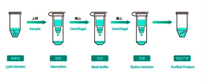 Spin Column Nucleic Acid Extraction Kit , CSF Viral Rna Isolation Kit