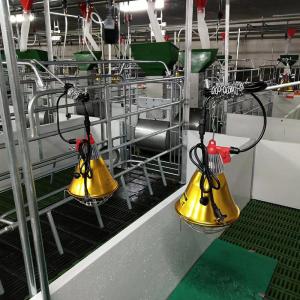 Wholesale OEM ODM 304 Stainless Steel Farrowing Crates Swine Gestation Crates from china suppliers